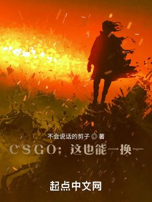 CSGO:这也能一换一?