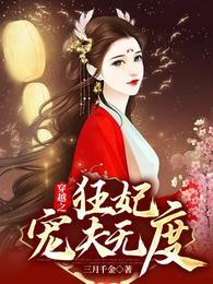 穿越之:狂妃宠夫无度