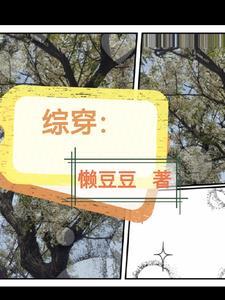 综穿: