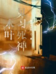 木叶见习死神
