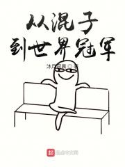 木叶掌门人